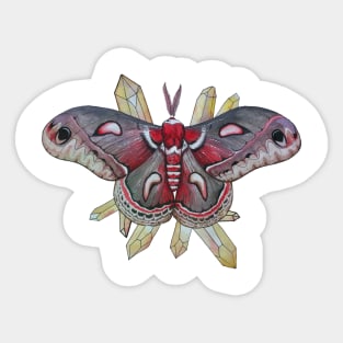 Cecropia Moth and citrine, Hyalophora cecropia Sticker